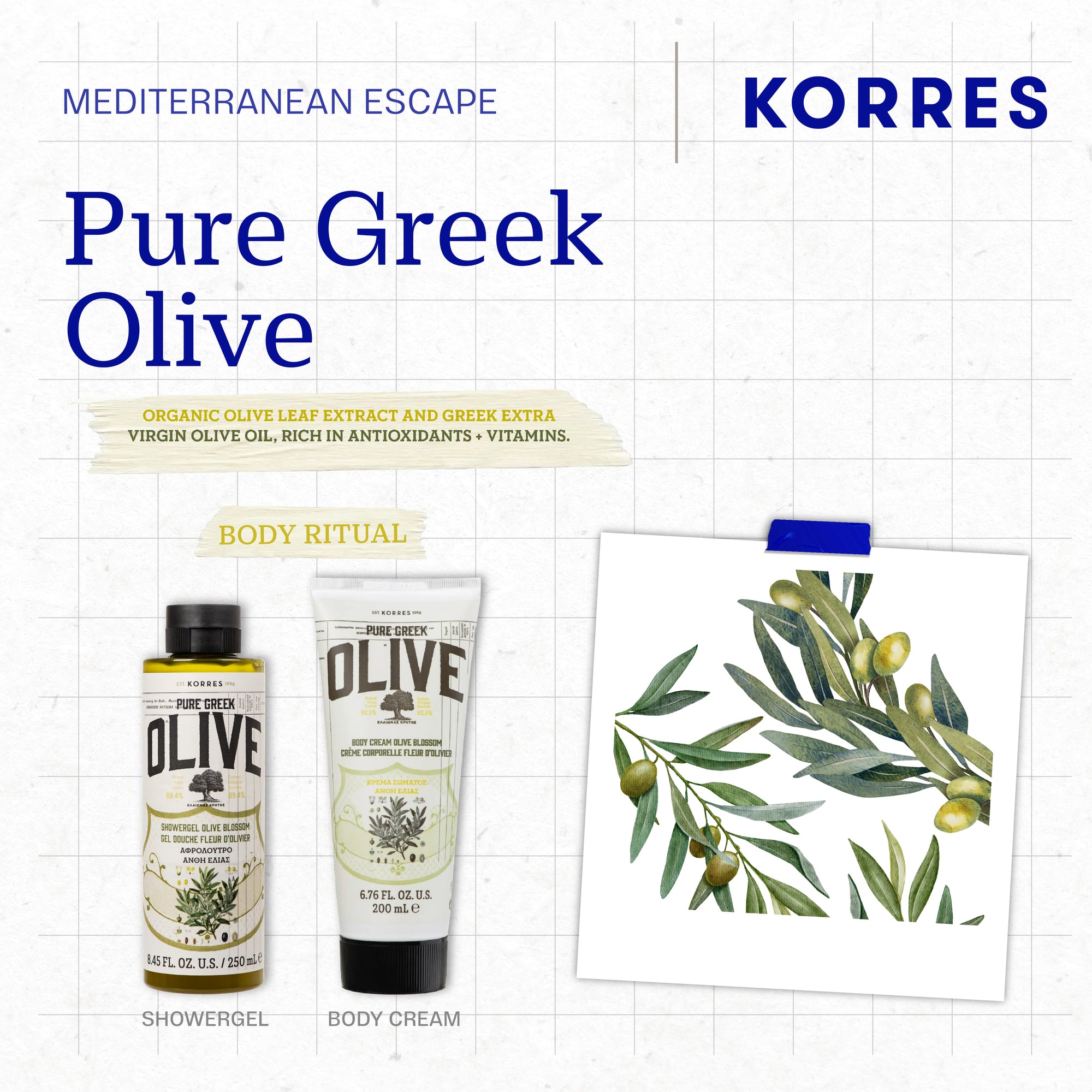 Pure Greek Olive Montemar
