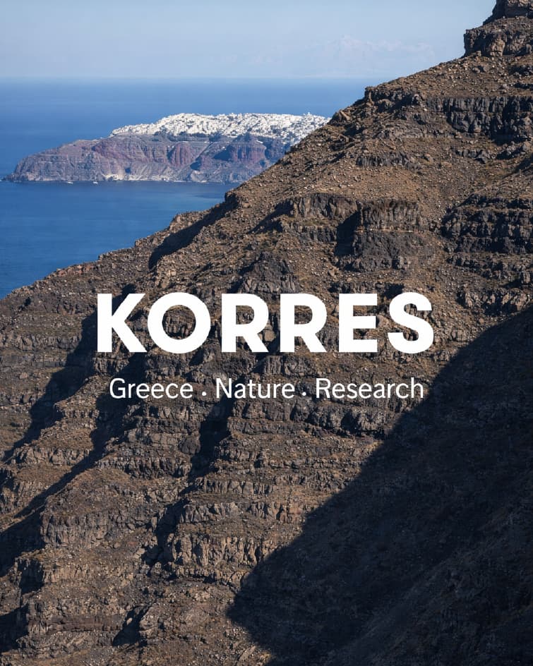 Marca Korres - Montemar