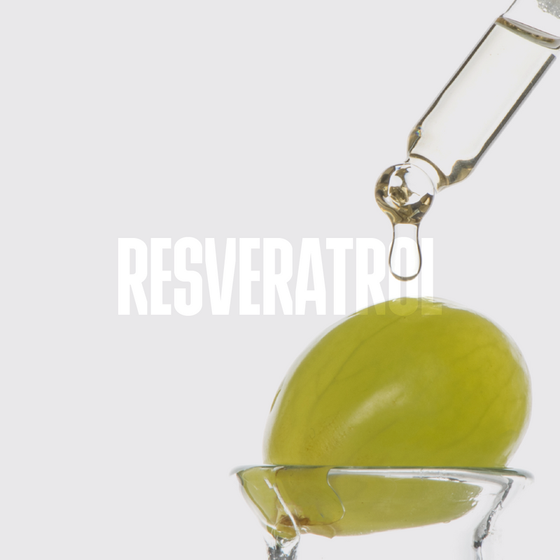 Santorini Grape FORTALECE LAS DEFENSAS ANTIOXIDANTES NATURALES DE LA PIEL Y CONTRIBUYE A UN ASPECTO MÁS UNIFORME Y SALUDABLE.